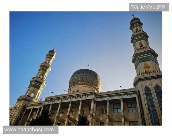 体育实时数据深入探讨张秀英的篮球旅程与人生哲学之路