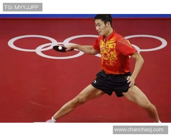 运动最新数据乒乓球新手必看力量训练入门指南助你快速提升击球能力